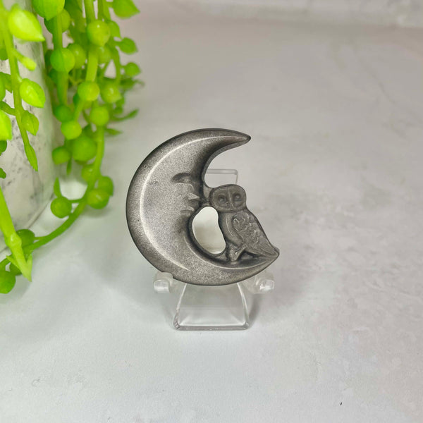 Owl & Moon