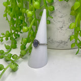 Iolite SS Ring