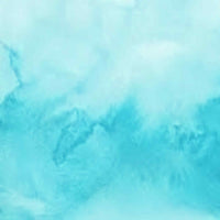 Sandra Smythe - Customer Order 08/09